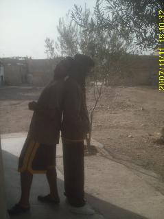 9lbo tajin 9albo rjin